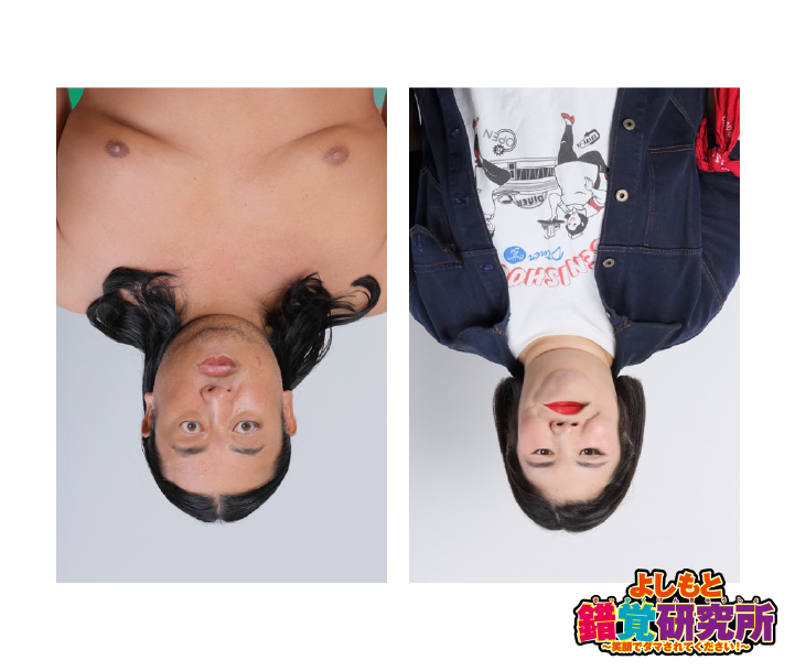 さかさまのいかさま