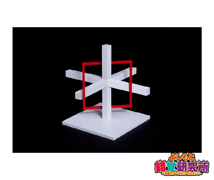 止まり木の輪くぐり