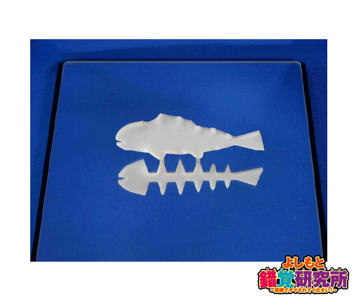 魚のレントゲン